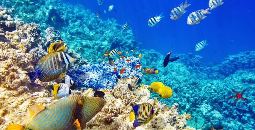 Hurghada am Roten Meer